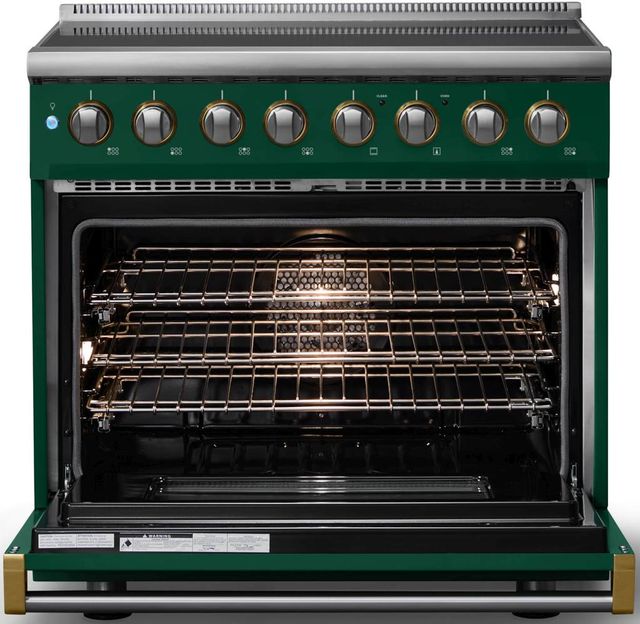 Viking® 5 Series 36" Ivy Pro Style Induction Range with Brushed Brass Trim-1