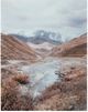 Signature Design by Ashley® Darinby Wall Art-0