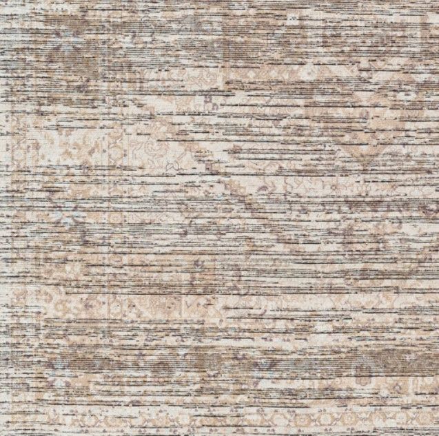 Surya Nolita Brown/Light Gray 4'x6' Area Rug-1