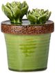 A & B Home Brown/Green Ceramics Plant Decorate-3