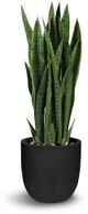 Le Present Sanseveria Green Faux Botanical-0