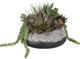 Uttermost® Yuma Burgundy/Green Succulent Centerpiece-0