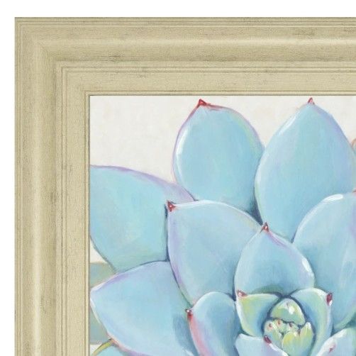 Classy Living Tim OToole Pastel Succulent I Wall Art-1