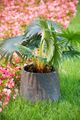 A & B Home Gunmetal Large Planter-3