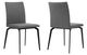 Armen Living Lyon 2-Piece Gray Dining Chairs-3