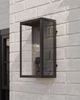 Currey & Company Royster Matte Black/Clear Outdoor Wall Sconce-4