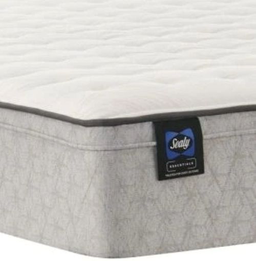 Sealy® Essentials™ Winter Green Innerspring Soft Faux Euro Top Queen Mattress-2
