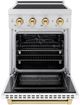 ZLINE Autograph Edition Paramount 24" Satin Stainless Steel Pro Style Induction Range with White Matte Door and Polished Gold Accents-1
