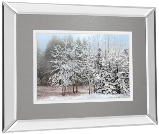 Classy Living Mike Jone Frosty Morning Mirror Framed Wall Art-3