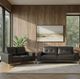 Armen Living Faelin 2-Piece Cola Living Room Set-1