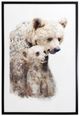 YHD Ursine Bond Canvas-0