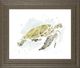 Classy Living June Erica Vess Watercolor Sea Turtle Study I Wall Art-0