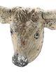 A & B Home Southern Living Whitewashed Ox Head Wall Decor-2