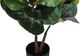 Monarch Specialties Inc. 49" Green/Black Artificial Potted Fiddle Tree-1
