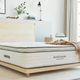 Avocado Green 13" Wrapped Coil Plush Pillow Top Queen Mattress in a Box-1