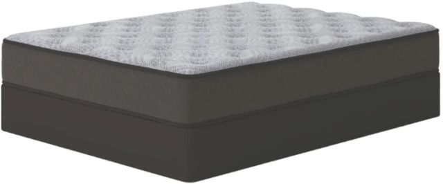 Sierra Sleep® By Ashley® Comfort Plus 10" Gel Memory Foam Medium Tight Top Queen Mattress in a Box-3