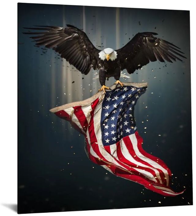 Classy Art Eagle Flag Wall Art-0