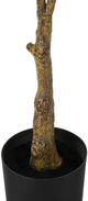 Monarch Specialties Inc. Green/Black 52" Artificial Potted Rubber Tree-1