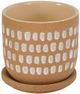 Moe's Home Collection Botanical Natural 5.75" Planter-0