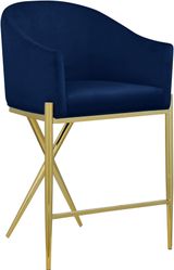 Navy-Gold