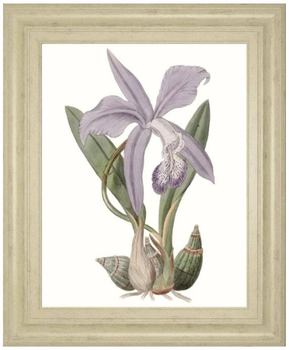 Classy Living Edwards Lavender Beauties IV Wall Art-0