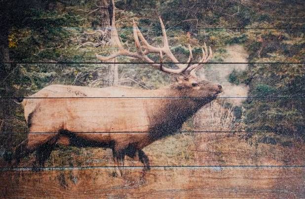 StyleCraft Elk Woods Wall Art-1