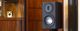 Monitor Audio Platinum Ebony PL100 II Two Way Speakers-2