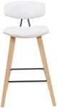 Armen Living Fox 2-Piece Oak/White Barstool Set-2
