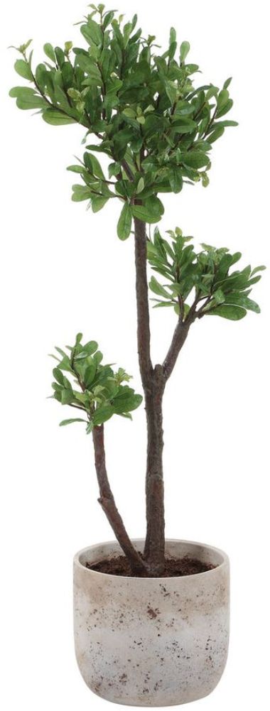 Uttermost® Arbor Aged Ivory Strawberry Tree-3