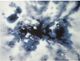 Crestview Collection Spruce Blue/White Wall Art-0