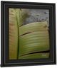 Classy Living Patricia Pinto Butterfly Palm Il Wall Art-3