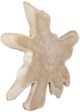 Uttermost® Terrains Natural Wall Decor-2