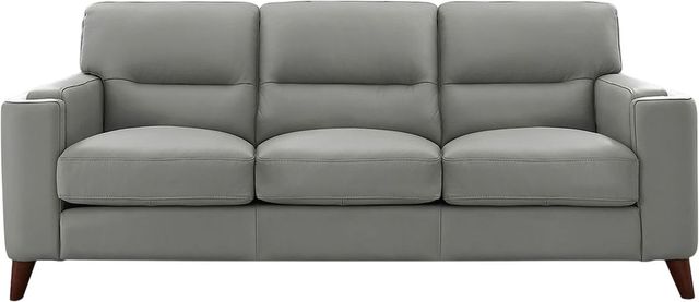 Aurora Furniture Elm Silver Gray Stationary Sofa-0