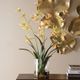 Uttermost® Spider Green/Yellow Orchid-2
