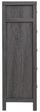 Magnussen Home® Merrified Raisin Black Chest-4
