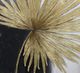 StyleCraft Palm Play II Wall Decor-1