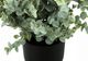 Monarch Specialties Inc. 2-Piece Black 11" Tall Artificial Potted Eucalyptus Grass-2
