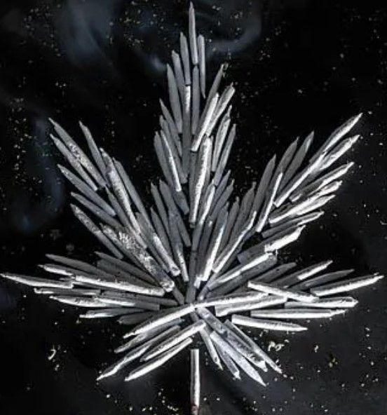 Classy Art Carpe Cannabis by JG Studios Wall Art-1