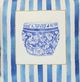 Stylecraft Tamara Day White Designer Pillow with Blue Stripes-1