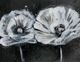 Stylecraft Jane Seymour White Trio on Black II Black/White Wall Art-1