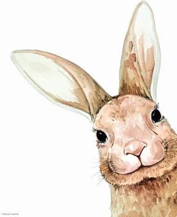 Classy Art Fluffy Peekaboo Bunny by Rachel Nieman Wall Art-1