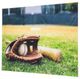 YHD Field of Dreams Wall Art-2