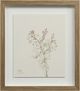 Renwil® Crema 9-Piece Wall Art Set-4