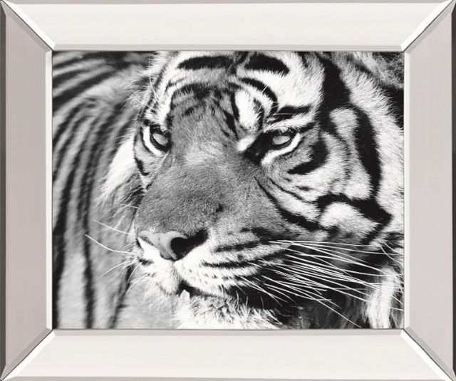 Classy Art Tiger Eyes by Xavier Ortega Wall Art-0