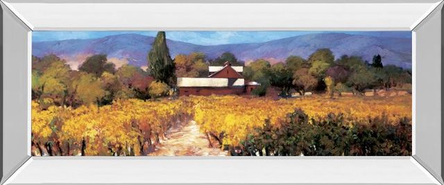 Classy Art Vineyard Afternoon by Craig, P. Mirrored Frame Wall Art-0