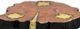 A & B Home Acacia Brown Coffee Table with Gold Brass Legs -1