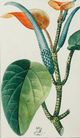 Stylecraft Green/Light Blue/Light Green/Off-White/Orange Wall Art-1