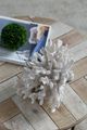 A & B Home White Expansive Faux Coral Accent-1