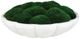 Uttermost® Awaken Moss Green/White Centerpiece-0