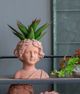 A & B Home Brown 10" Head Bust Planter-5